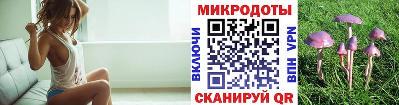 Псилоцибиновые грибы Cubensis  Камбарка 